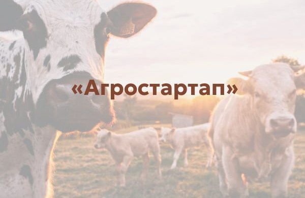 � 2025 ���� ��������������������� ��� ������ �������� ����� ��������� ��������� ������������