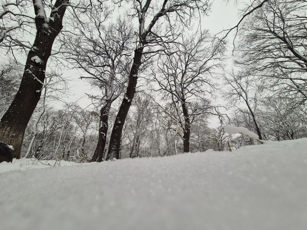 � ������ �����, ������ ����������� �������������� ������!