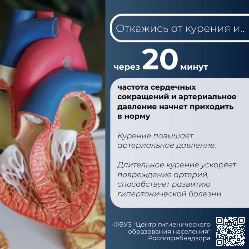 ������ �� �����