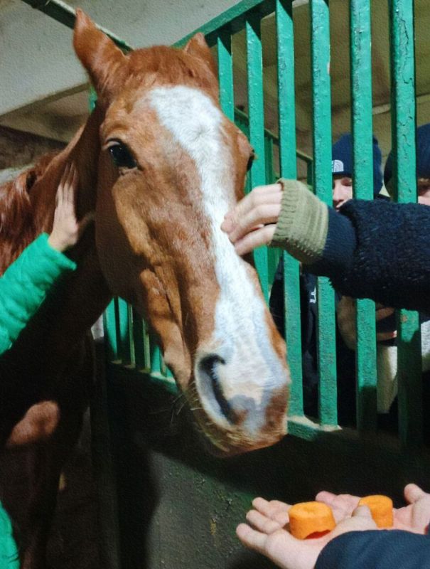 � ������ ������ ������ ���, �������� ������, ������������ ������ �������������� �������������� ������, ��������� �������� ��������� ��� "������ ������ ", ����������� ��������� ��������� ���� ��� ��� "�������������...