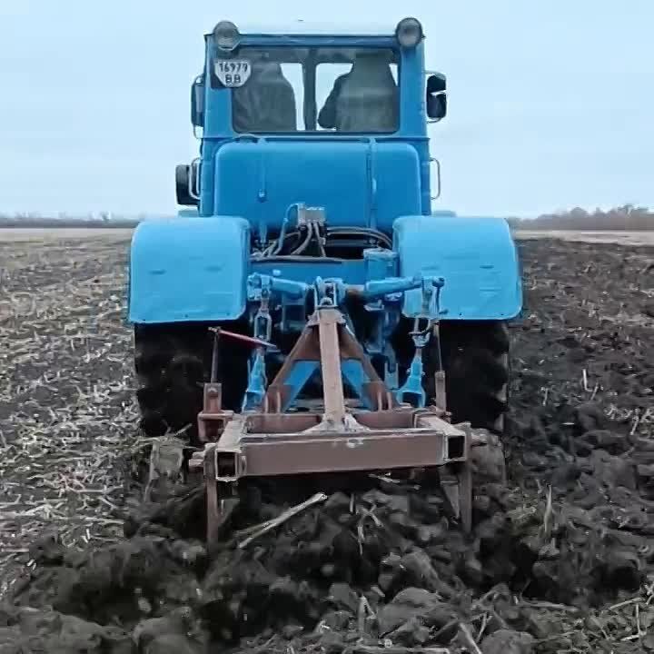 ���� ������� ���������� ������� ��������� �������� ��������� �����, ������������� ����� � ���������� ��������������������� ������
