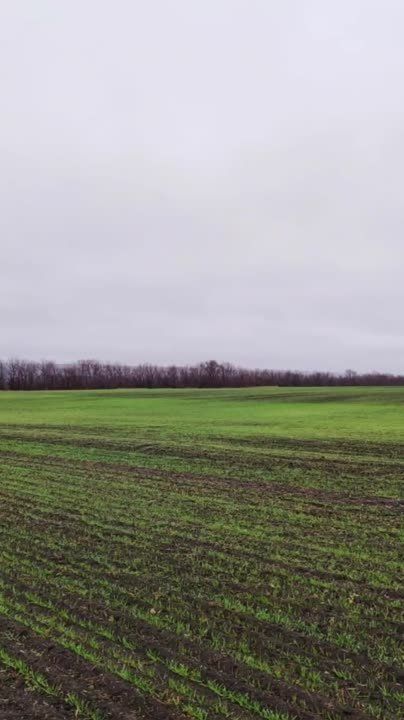 ������� �������: � ���� ���� � ����� ������ ��������� ������ ��� 26 ���������������� �����������