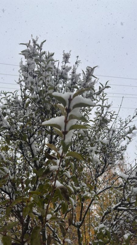 � ������ �����, ������ ����������� �������������� ������!