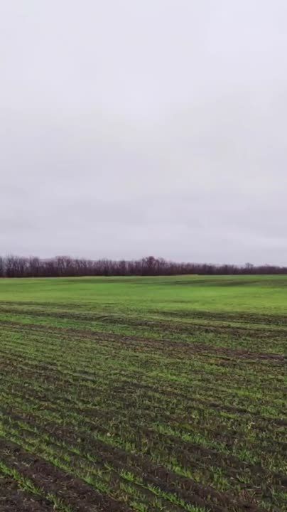 �������� ������ ��� ��������������� ������������ �������������� ������