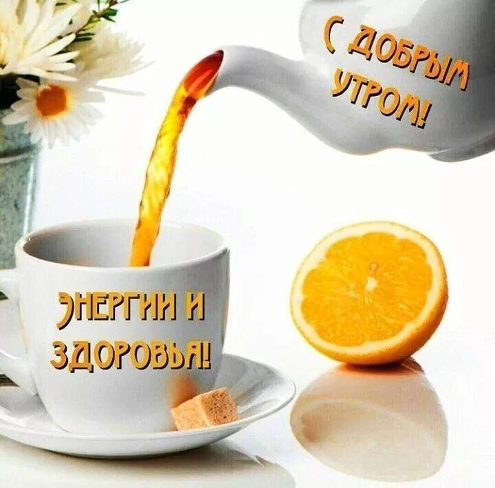 � ������ �����, ������������� �����!