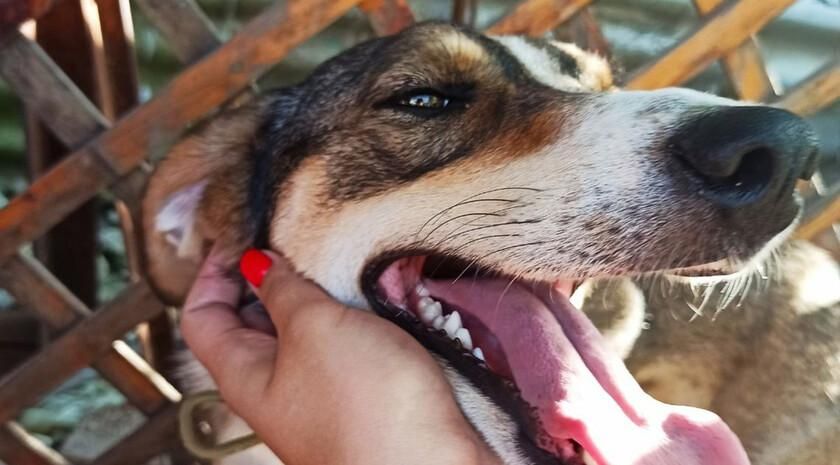 �������������� � 2025 ���� ����� ������� ����� ��������������� �� �������� ��������