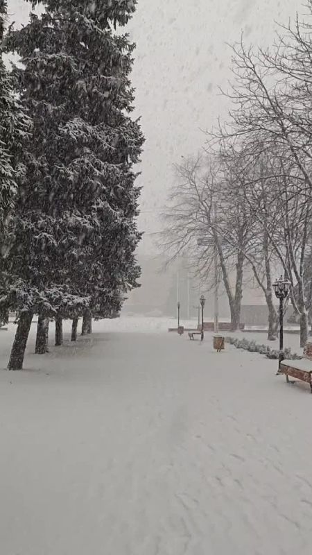 �� ���, ������, ��������� ���� ��������� � �� ���!