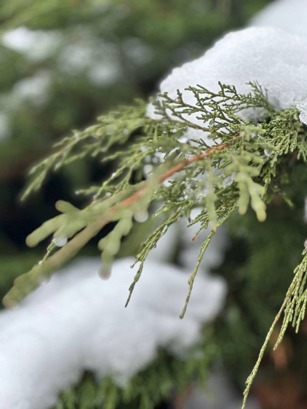 � ������ �����, ������ ����������� �������������� ������!