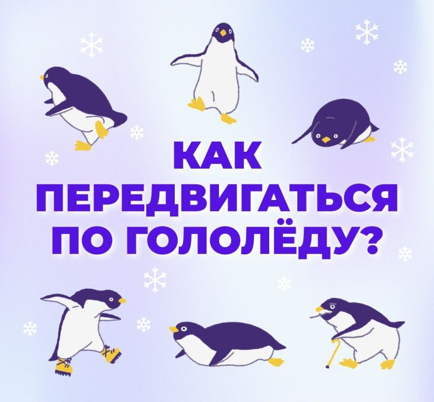 �������������, ���˅ ����, ������