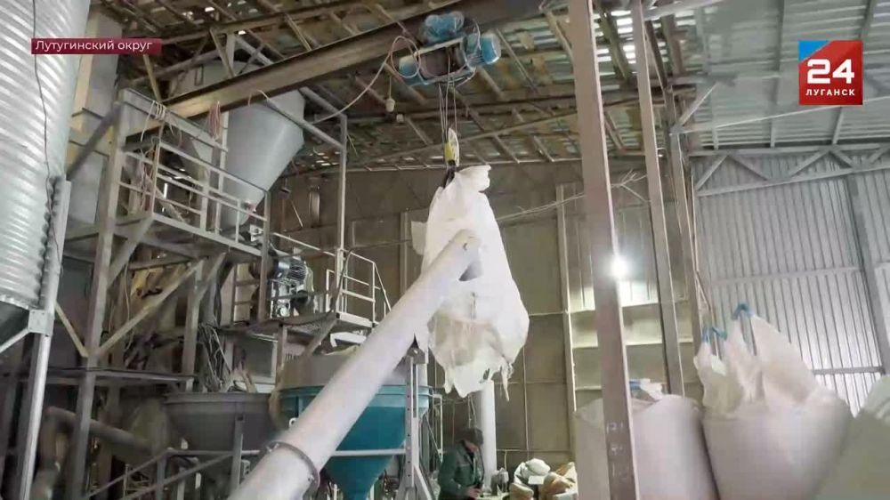 ����������� ������������ ������ � ������� �������� ������� ������������ ������������� ���