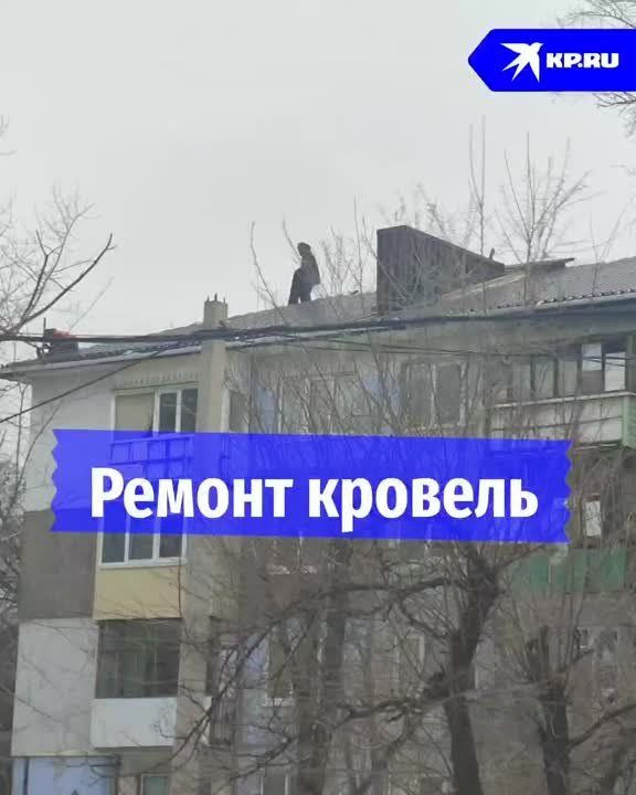 ���� � ��������. ���������� �� �������� �������� � �������� ���������� �� ����� �������� ����� ����� ����� ����