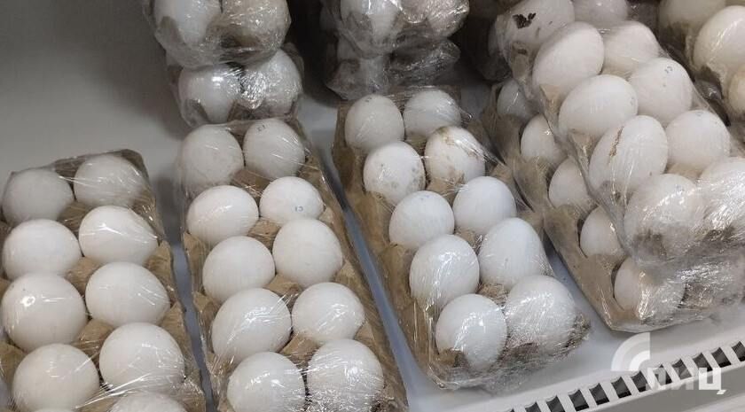 ������������ � ��� ��������-������������� ����� ��������� �� ����� ���� ���������� �� 230 ��� ������� ���