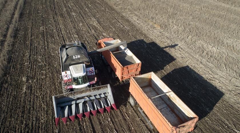 ����� 30 ��������������������������� ��� ����� ����������� ��������� ������������� ����