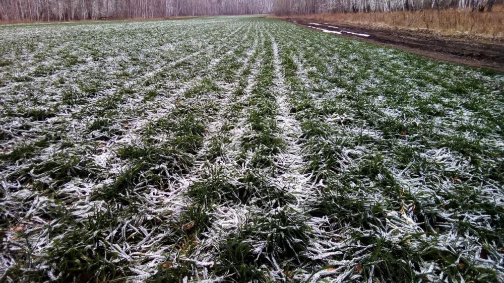 ������� ���, ������ ������� ���������� � ���������� ������� ����������, �������� 700 ��� ���