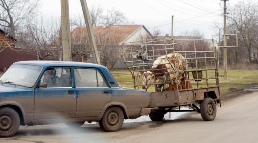 ����� ��������� ��������� ���������� �������� ��� � 2025 ���� �������� ������� 18 ��� ���