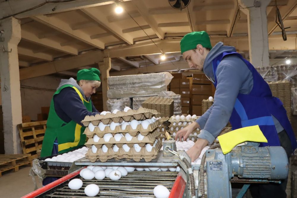 ������� �������: �� �������� ������ � ������� ������� ����������� ������� ������������ ������������� ��������� �������� ���������� ���� ���������