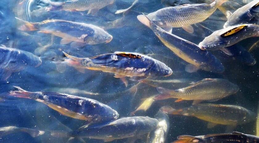 ������������ ��������� ��������� � �������������� ��� ���������� 12 ���������� �������� ��� �������� � ������