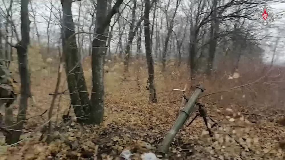 ���������-����������� ������ ������������� ���