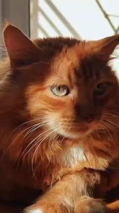 ����� ������ ���� ���, � ������� ������� �� �����, ����������, �������
