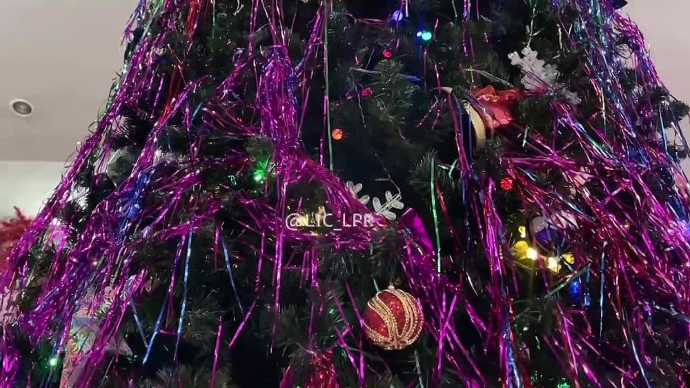 Первая новогодняя елка собрала в Луганске около сотни детей социально уязвимых категорий и участников СВО