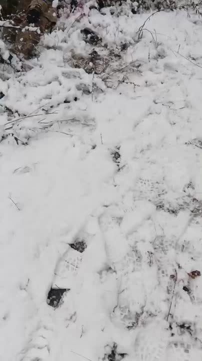 � ������ ��������� ���� ����� ����������� ����� "�����" ��������� ����������