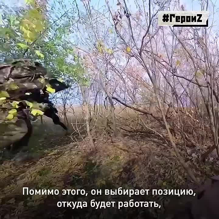 ���������-������� � �������� ������ ������������ � ����� ���������� ��������: ��� �� ���� ������� �� ������ � ��������� ������������� � �������� �� ������� ��������