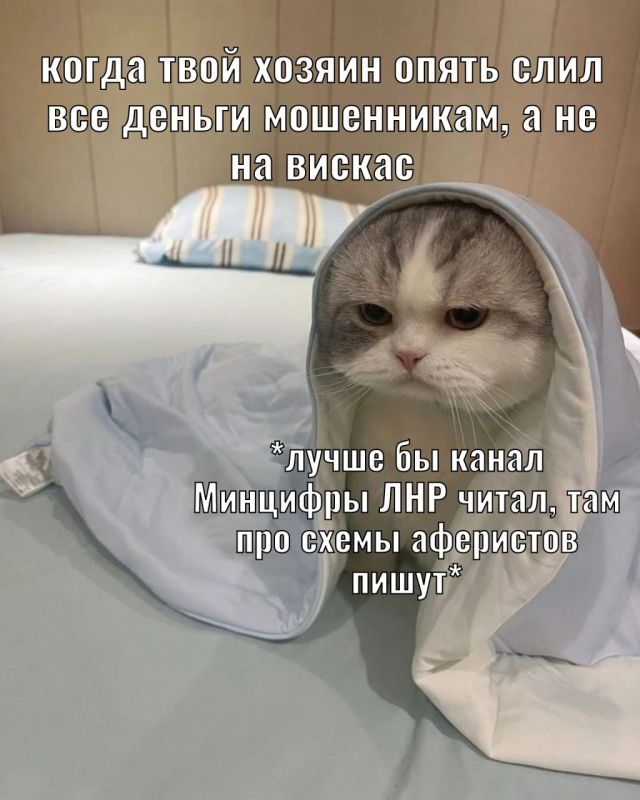 ��������! ����� ������� ������������� ���������� �� ���� ������!