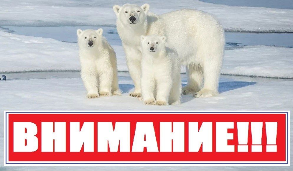 ������� ��������: �������������� ��������� �������� ���������� ��������� ������� ����������� � ����� ������� ���������� ���������, ��������� �� ������� �������� ������ � ������������ � ��� ���������� �� ����� 01 ������ 1992...