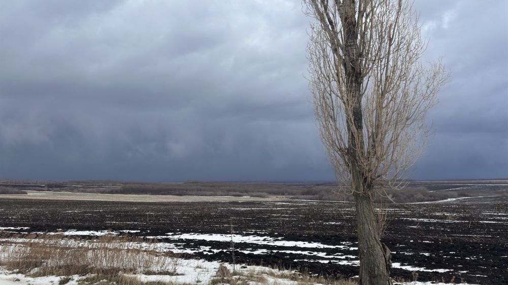 � ������ �����, ������ ����������� �������������� ������!