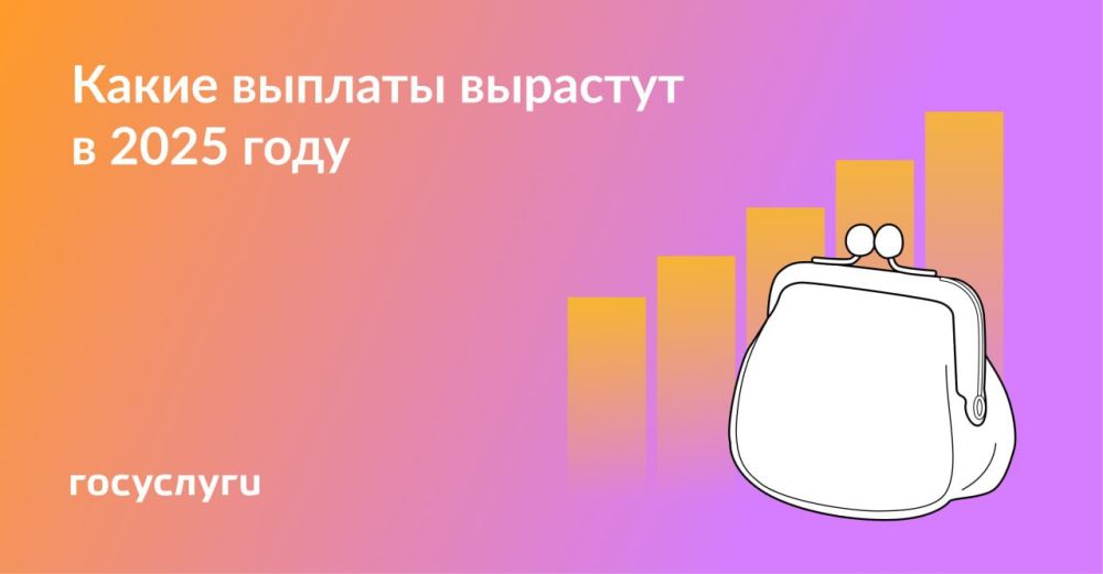 ������, �������, ����������: ����� ������� ������ ������ � 2025 ����