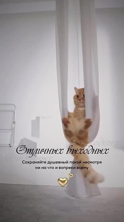 ����������� ������� ������ ��������� ������