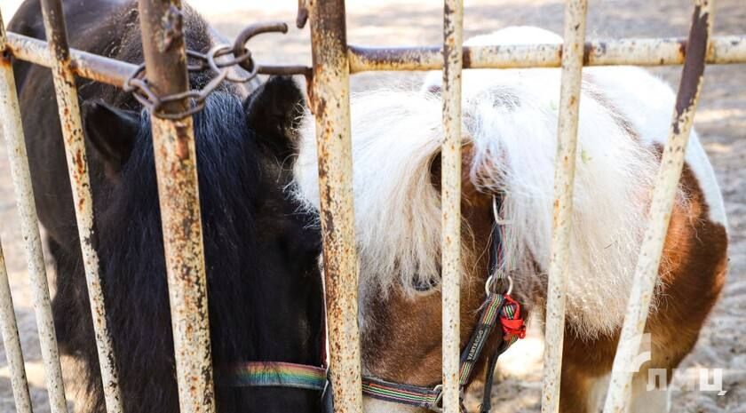 ������ ������ ��� ������� ������� �� ������, ����������� � ������ ������� ������