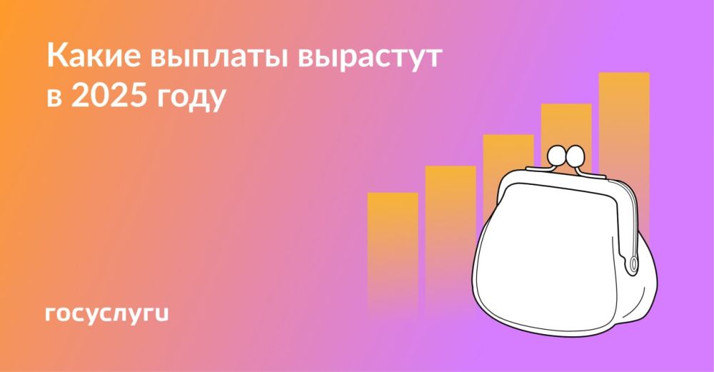 ������, �������, ����������: ����� ������� ������ ������ � 2025 ����
