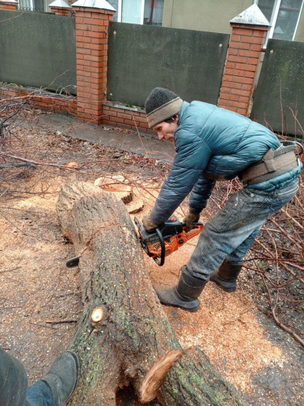 �������� ��������: ������������ ������ ���������� ������ �� ������ �������