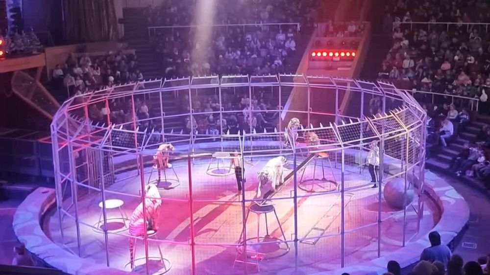 21 ������� ������� ���������� �������� ������ ����������� ����� �23, � ������������� ��������� ��������� ��������� �������, �������� ���������� ������������� "�����-���" ���������� ���������������� �����