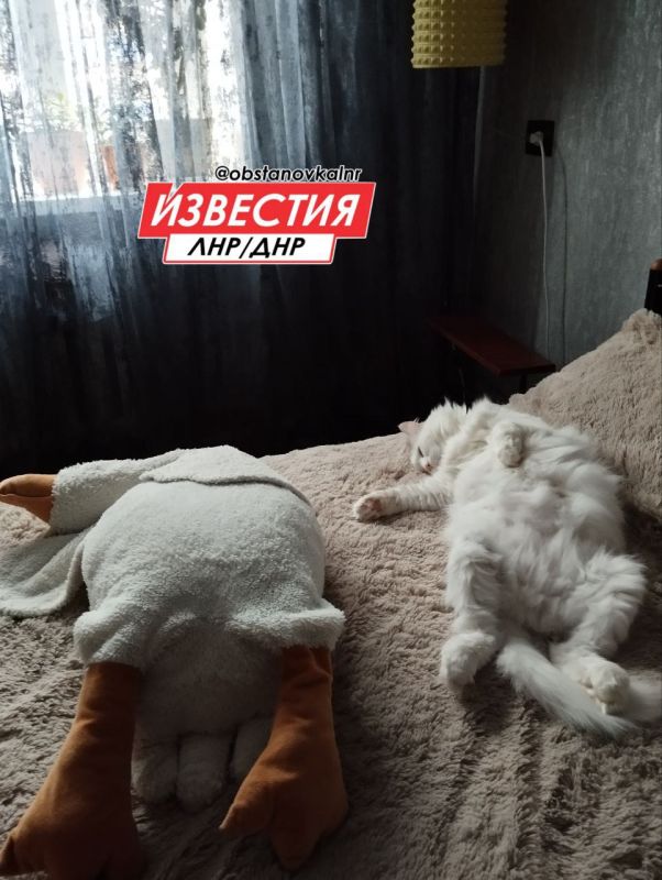 25 ������� �� ���������� ���������� �������������� ���������� ����������