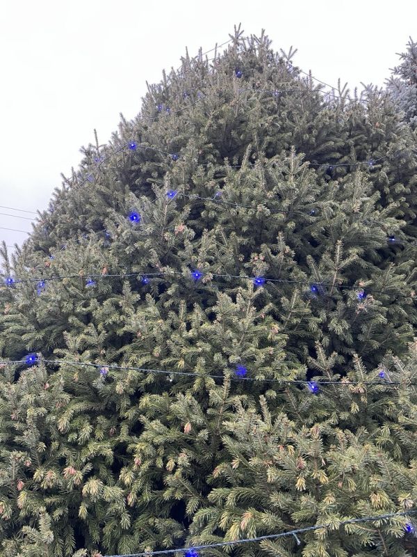 � ������ �����, ������ ����������� �������������� ������!