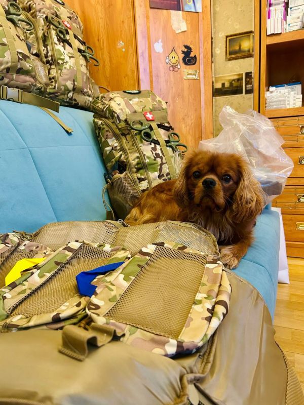 ���� ��������: ����� ������������ ��������