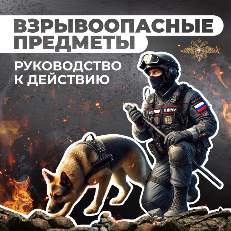 #������������� #�������� #��������������������� #�������