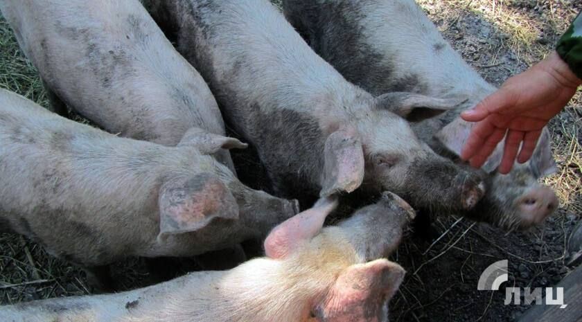 ��� � 2024 ���� � ������ ���� ��������� ������ ���������� ������� � ��������� � 2023-�