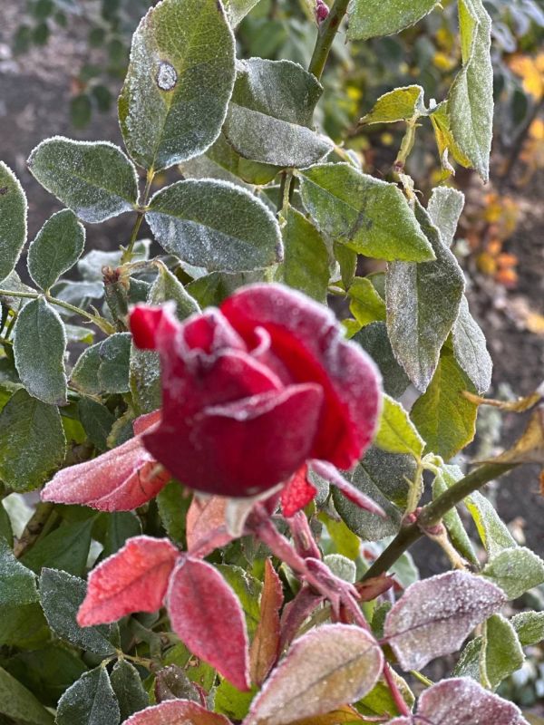 � ������ �����, ������ ����������� �������������� ������!