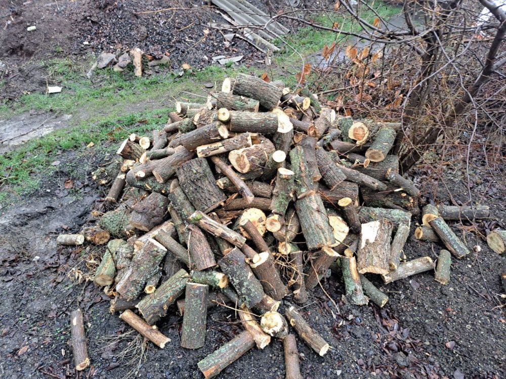 Сергей Козенко: На недавний личный прием обратилась жительница посёлка Изварино, Сосновенко Мария Ивановна