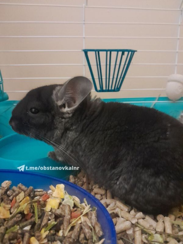 4 ������ �� ���������� ��� ����� ������� � ������������