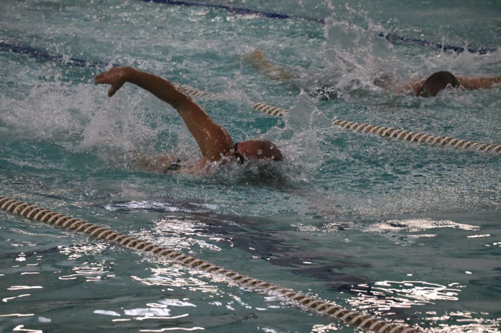 ������� ��������: � ���������� ��������� ���������� �������� ���������� ����� ������