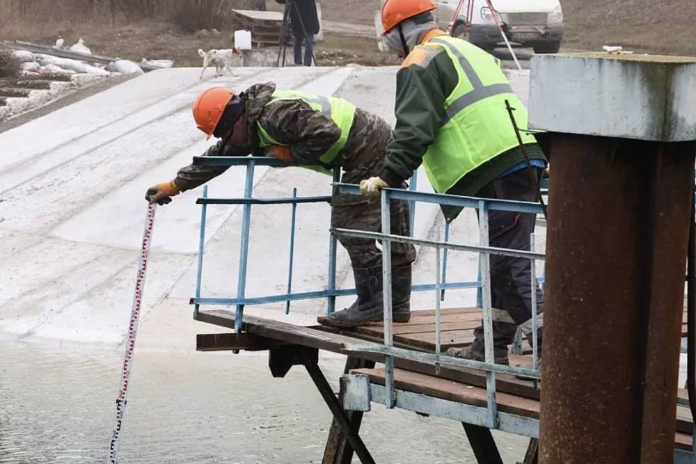 �������������� ����������� �������������� ��������� ���������� � �������������� ������ ������������� ��������� ��������������� ������������� � 2024 ����