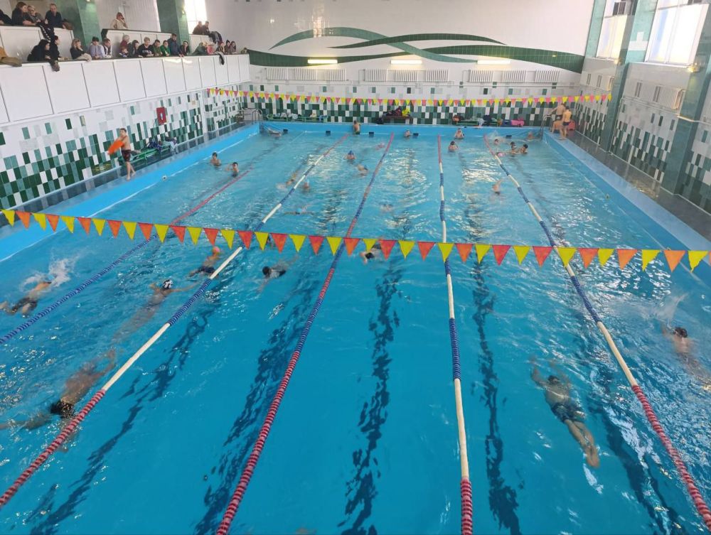 �������������. � ��� ����������� ��������-�������� ������ ������������� ����������� �� �������� ����������� ��������-2024�