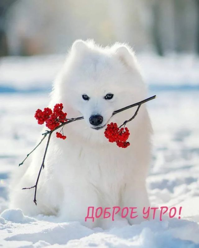 � ������ �����, ������������� �����!