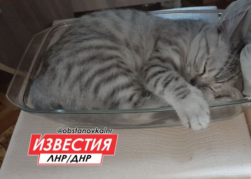 11 ������ �� ���������� ���������� ����� ������� � ������������