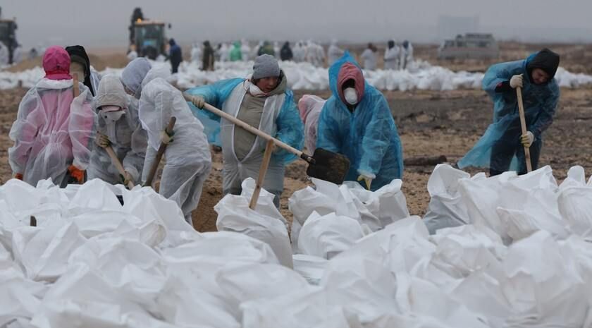 �������-������� �� ������ �������� ������ ����������������� �������� �� ���������� ����������� ������� �������������� � ���������� �������