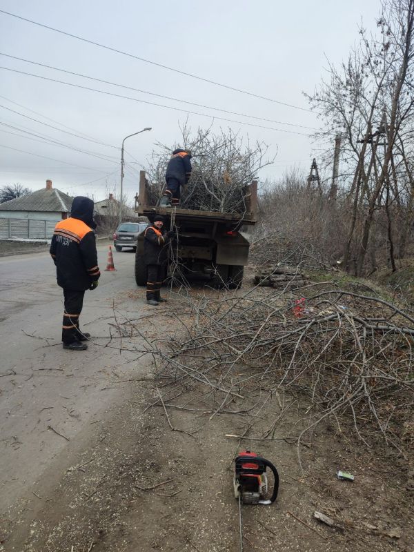 Сергей Козенко: Специалисты муниципального унитарного предприятия «Дорожно-эксплуатационное управление» проводят вырубку поросли и обрезку веток по улице Еременко в рамках благоустройства территории Краснодонского...